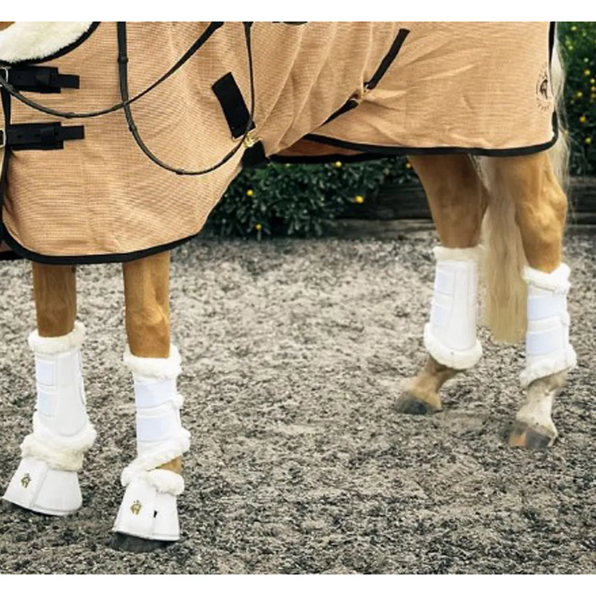 Sixteen Cypress Leatherette Brushing Boots